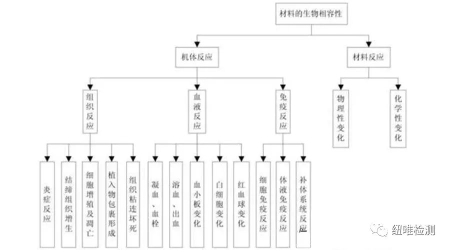 一文看懂无源医械材料福建生物相容性研究，福建生物相容性（三）